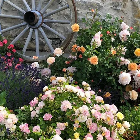 Le Domaine Des Terres Lodge